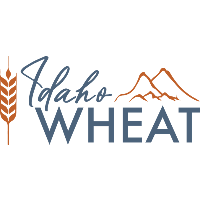 Idaho Wheat